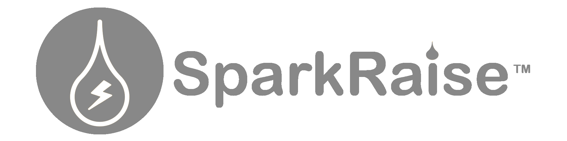 SparkRaise Logo